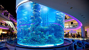 Aquadream &ndash; Morocco Mall Aquarium